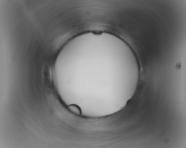 X0000112520013200909071345