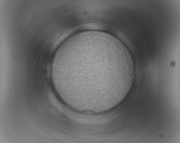 X0000112520014200909071345