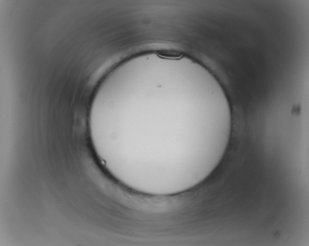 X0000112520015200909071345