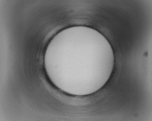 X0000112520016200909071345