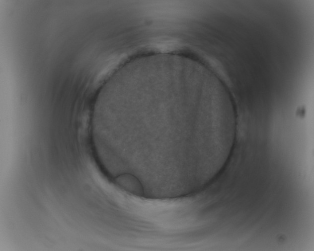 X0000112520018200909071345