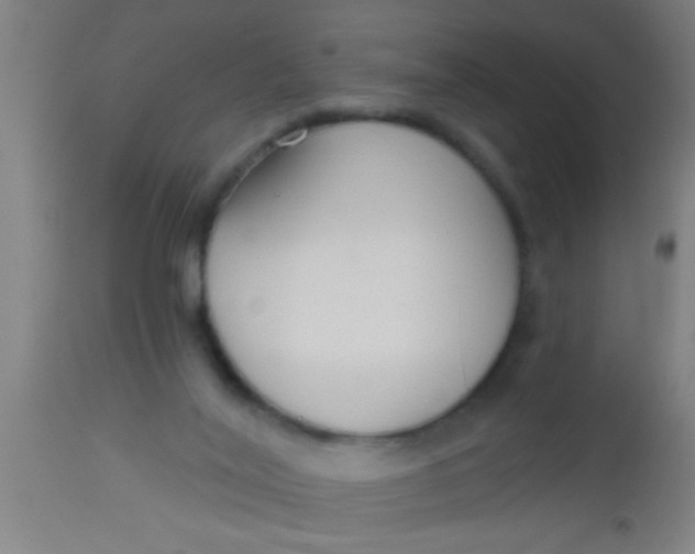 X0000112520020200909071345