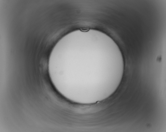 X0000112520021200909071345