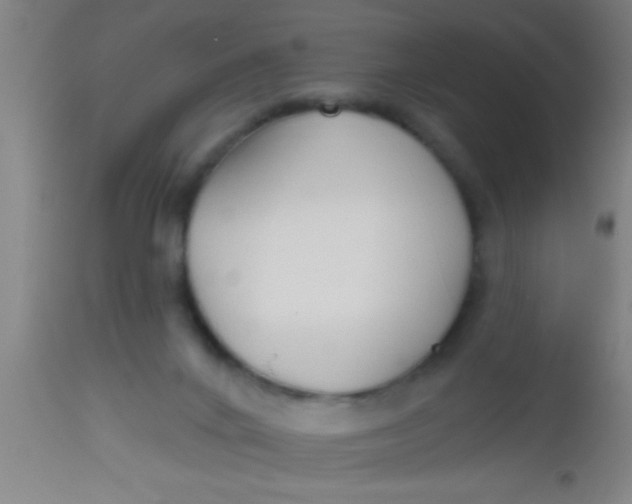 X0000112520024200909071345