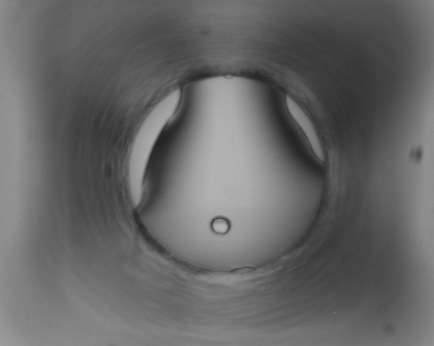 X0000112520025200909071345