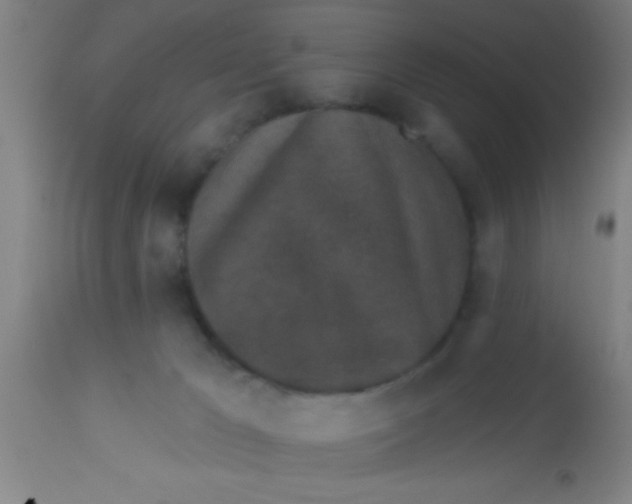 X0000112520029200909071345