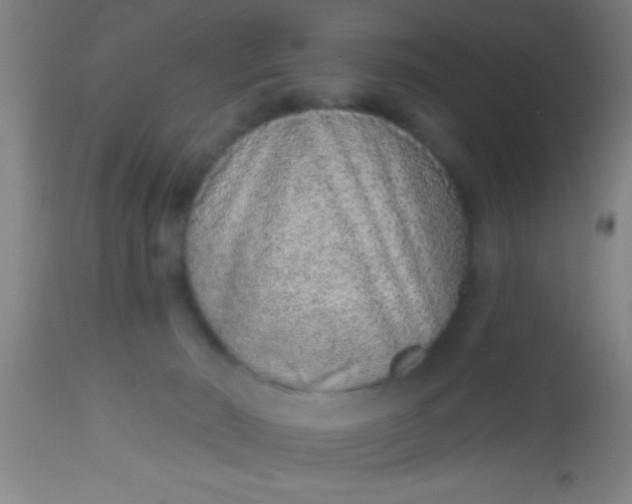 X0000112520030200909071345