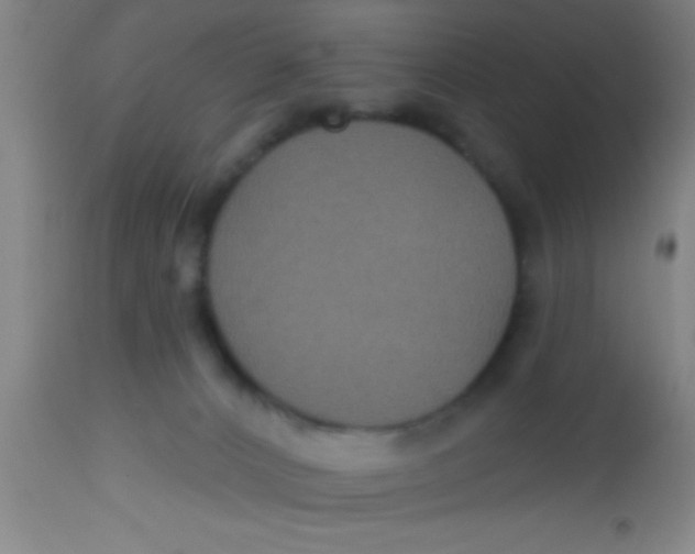 X0000112520032200909071345