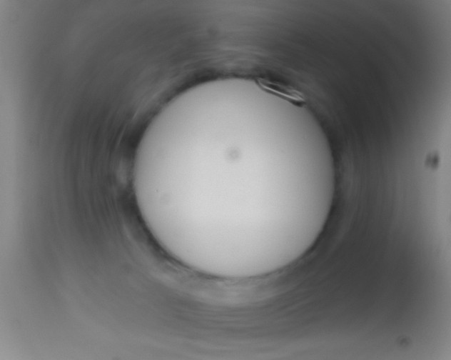 X0000112520033200909071345