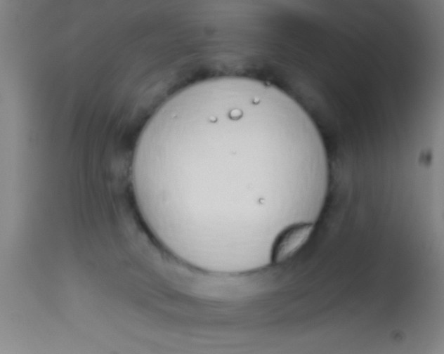 X0000112520034200909071345