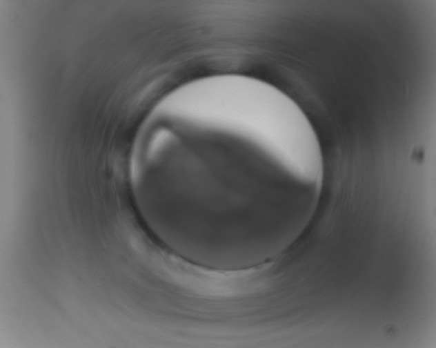 X0000112520035200909071345