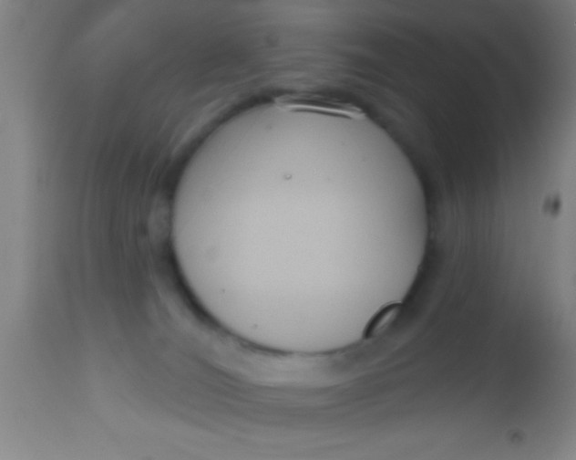 X0000112520036200909071345
