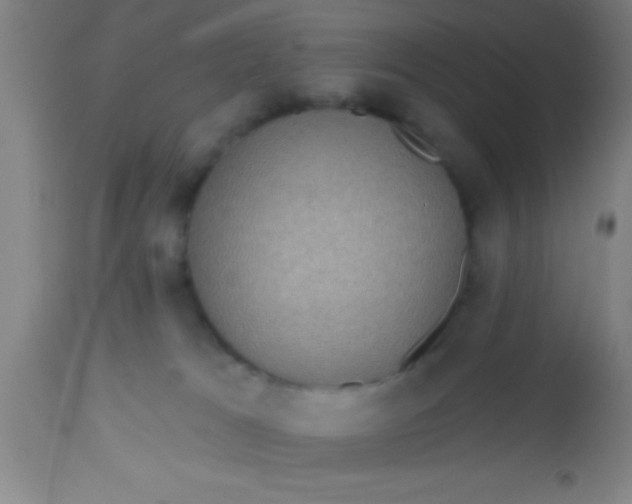 X0000112520037200909071344