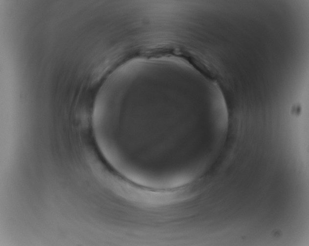 X0000112520039200909071344