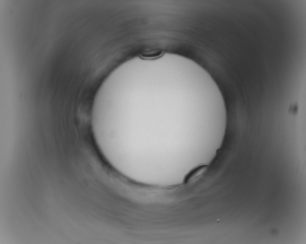 X0000112520040200909071344