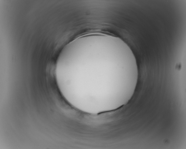 X0000112520041200909071344