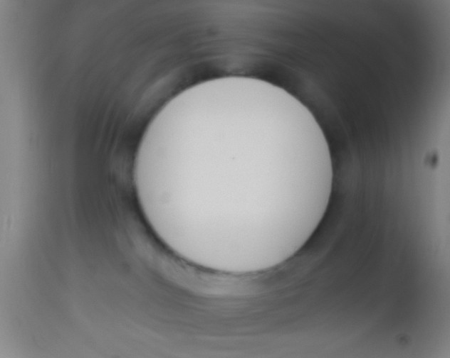X0000112520044200909071344