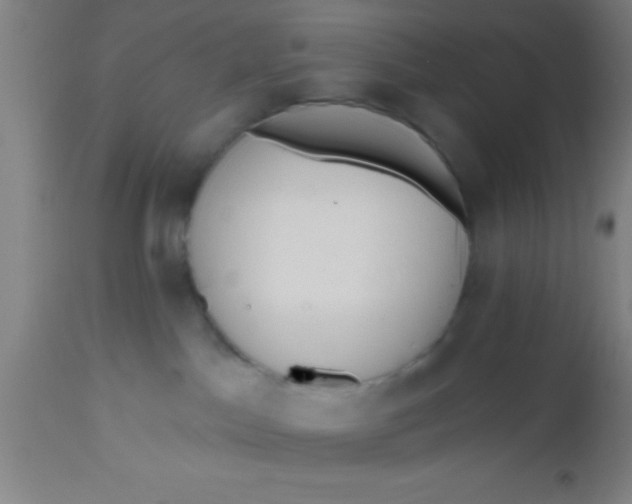 X0000112520045200909071344