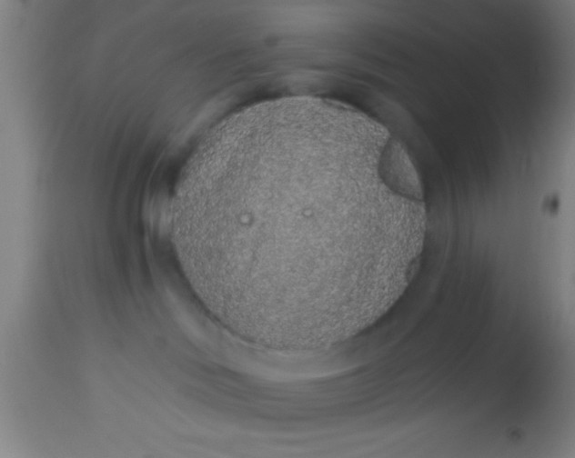 X0000112520046200909071344