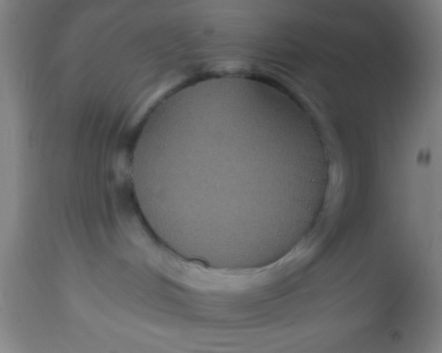 X0000112520048200909071344