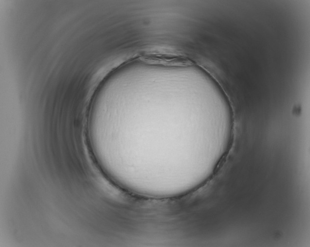 X0000112520049200909071344