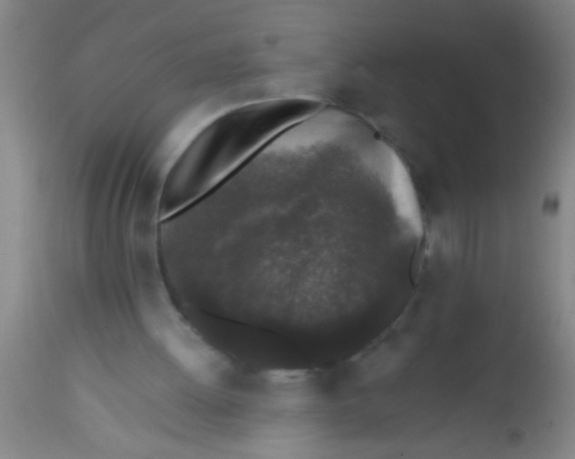 X0000112520052200909071344