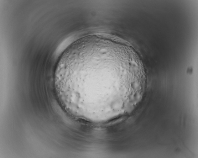 X0000112520053200909071344