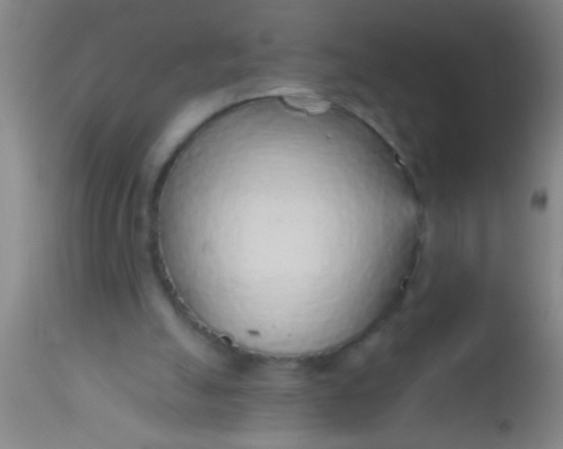X0000112520055200909071344