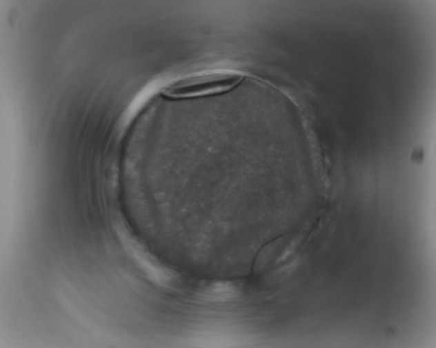 X0000112520056200909071344