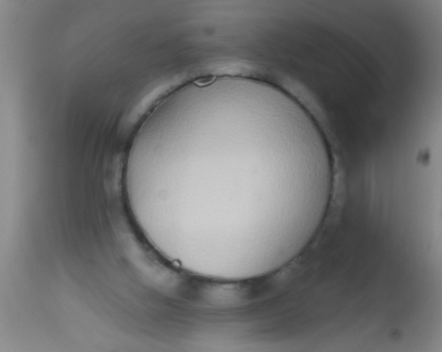 X0000112520058200909071344