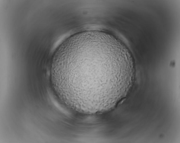 X0000112520059200909071344