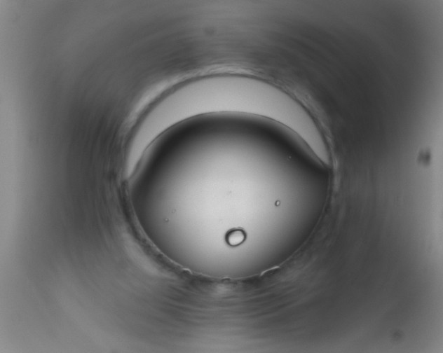 X0000112520060200909071344