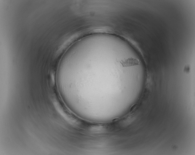 X0000112520061200909071344