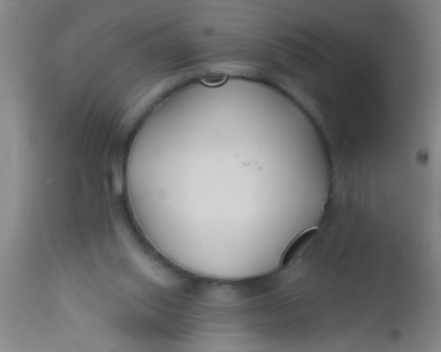 X0000112520062200909071344
