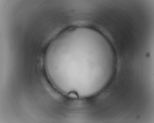 X0000112520065200909071344