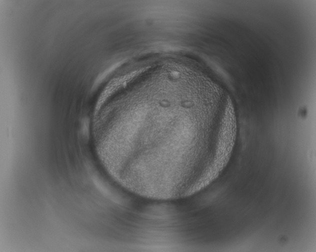 X0000112520067200909071344