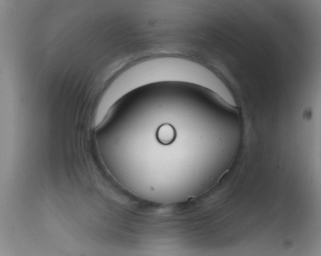X0000112520068200909071344