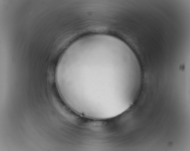 X0000112520069200909071344