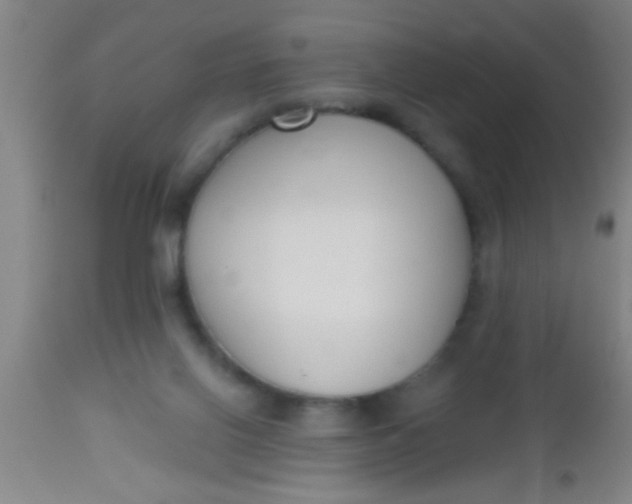 X0000112520070200909071344