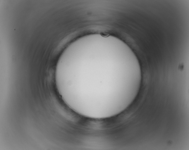 X0000112520071200909071344