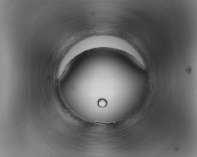 X0000112520072200909071344