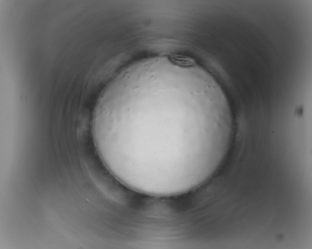 X0000112520073200909071344
