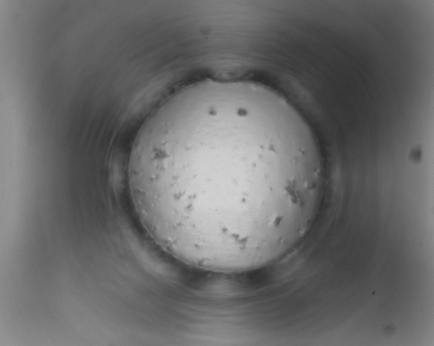 X0000112520074200909071344