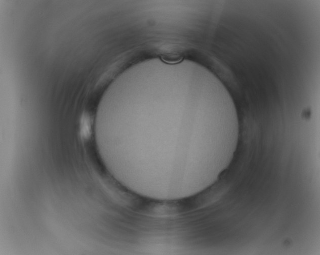 X0000112520075200909071344