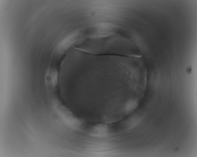 X0000112520076200909071344
