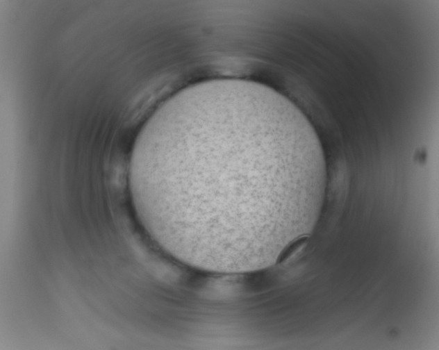 X0000112520078200909071344