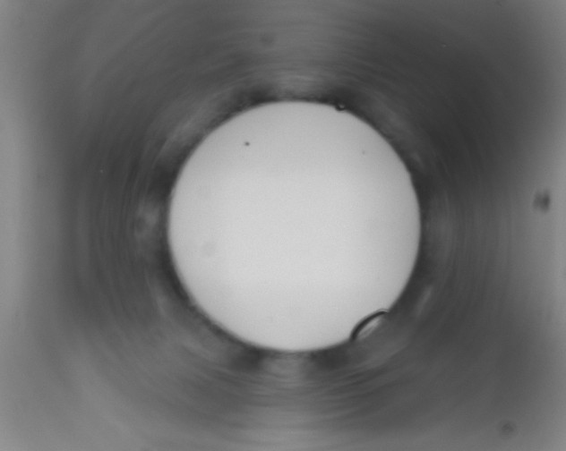 X0000112520079200909071344