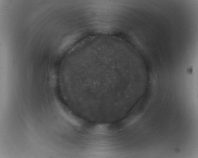 X0000112520080200909071344