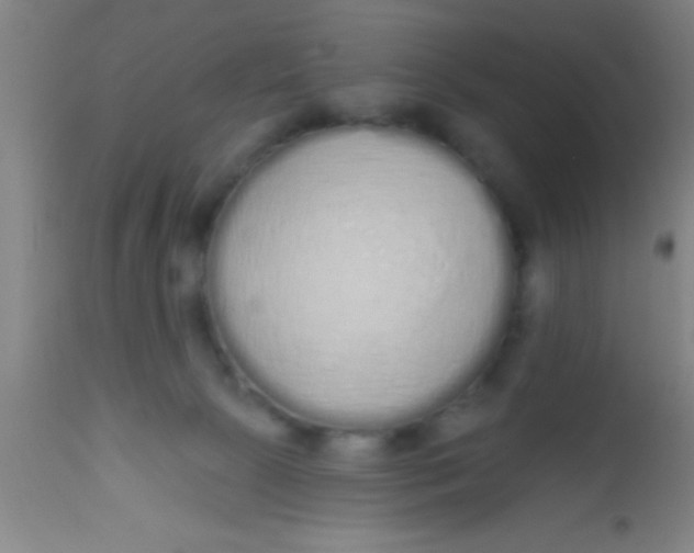 X0000112520081200909071344
