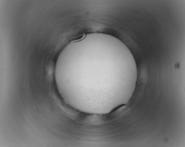 X0000112520082200909071344